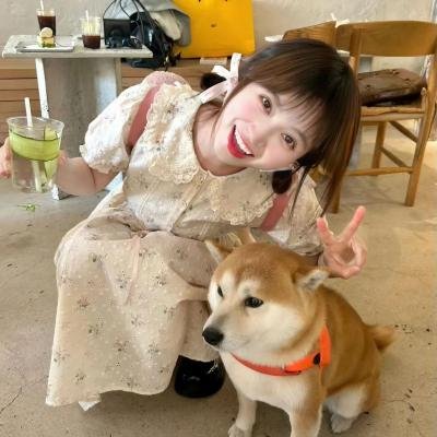 英雄虎胆美人恩